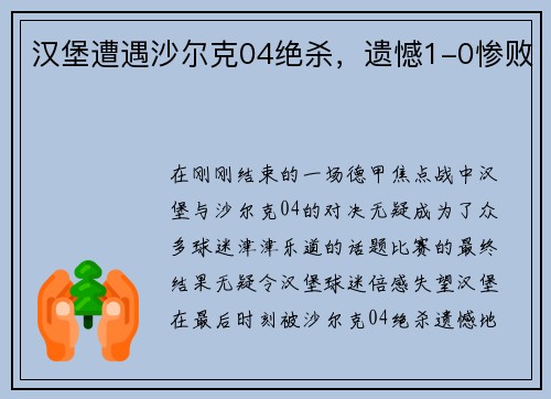 汉堡遭遇沙尔克04绝杀，遗憾1-0惨败